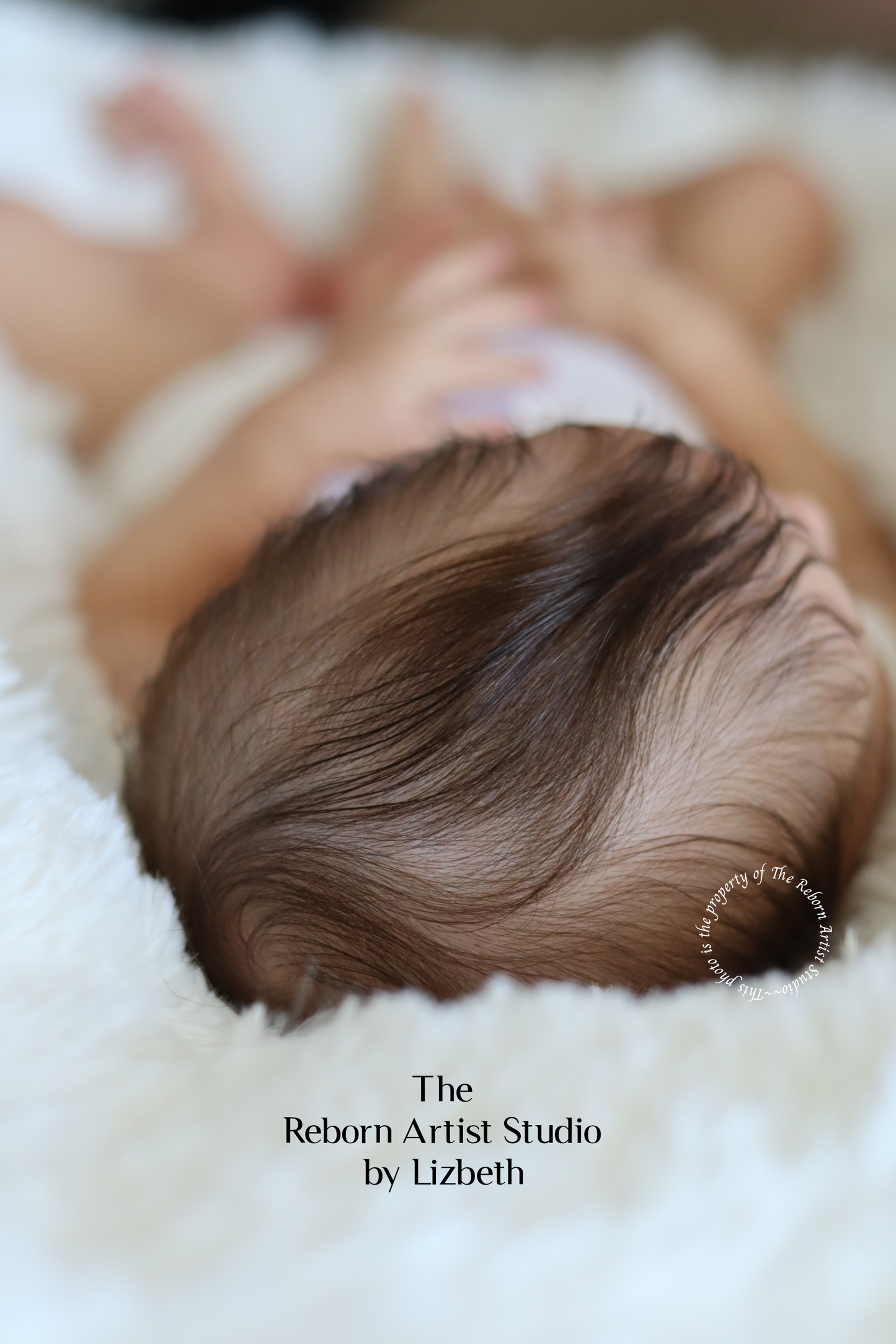 THE REBORN ARTIST STUDIO