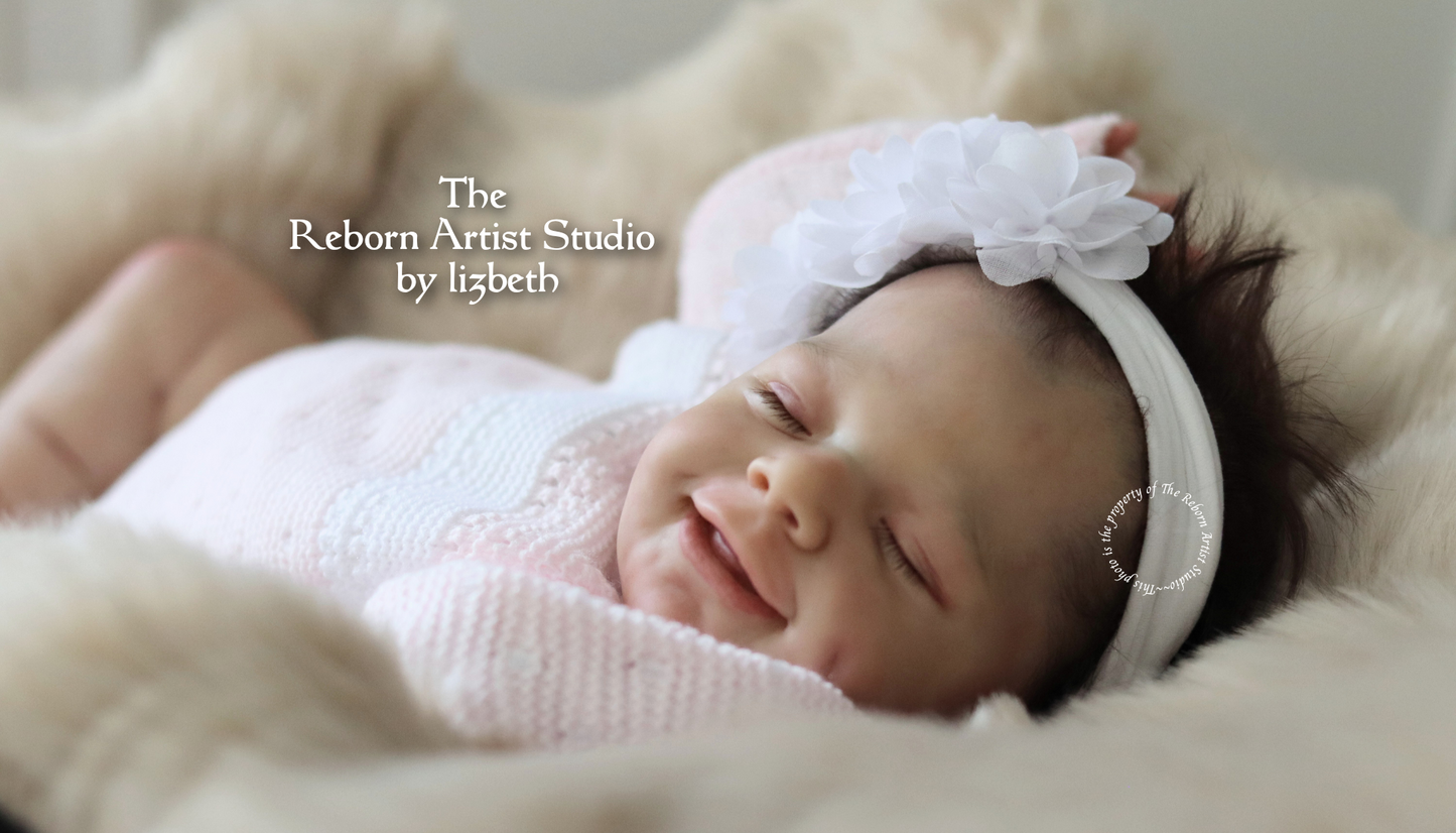 THE REBORN ARTIST STUDIO