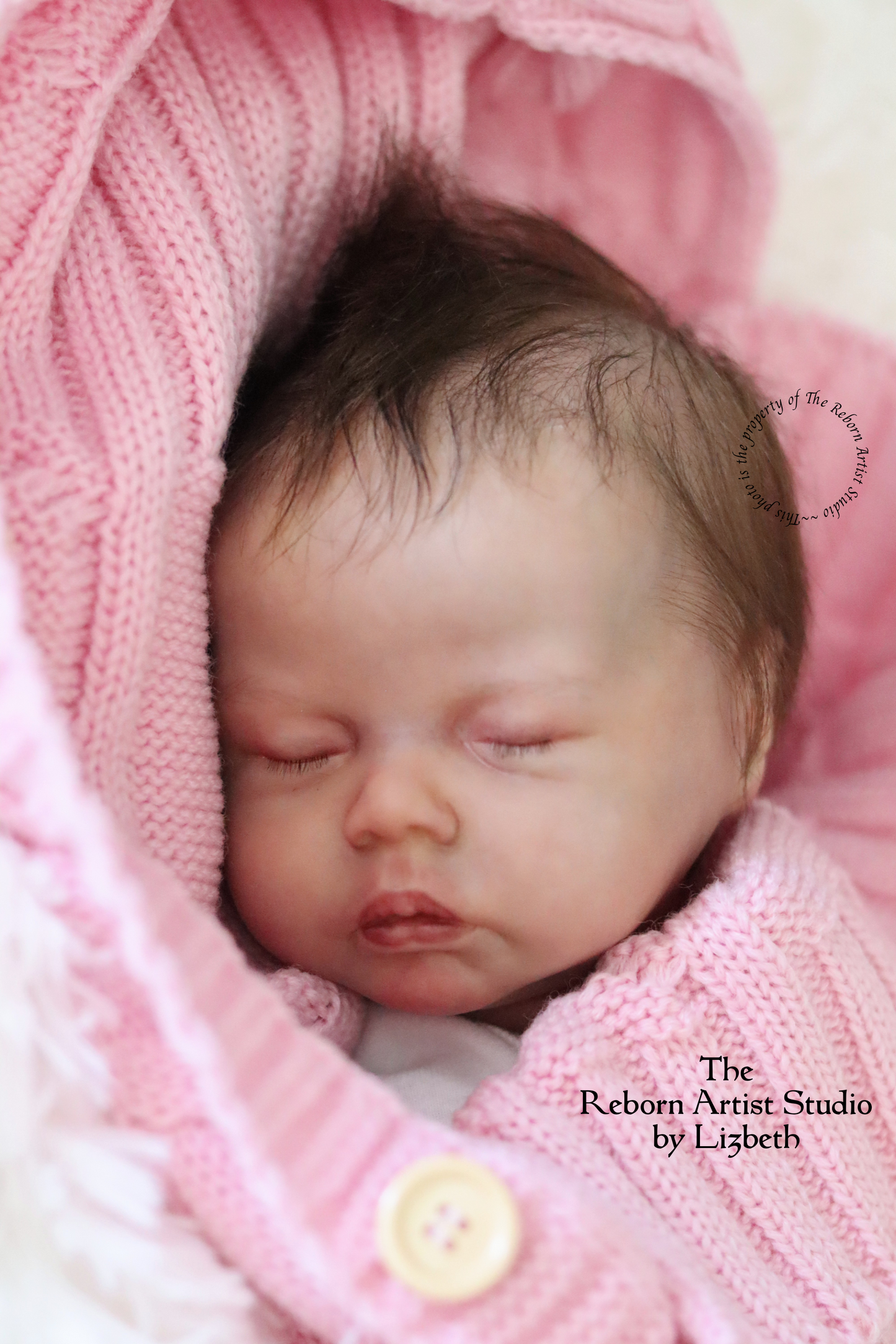 THE REBORN ARTIST STUDIO