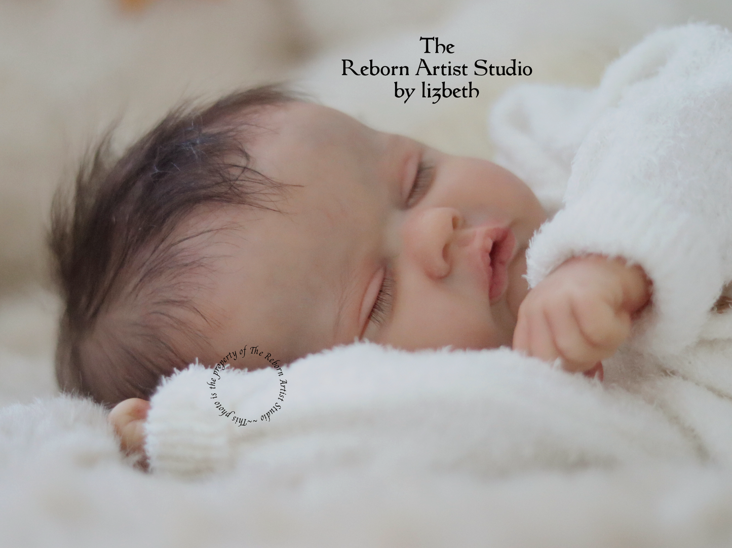 THE REBORN ARTIST STUDIO