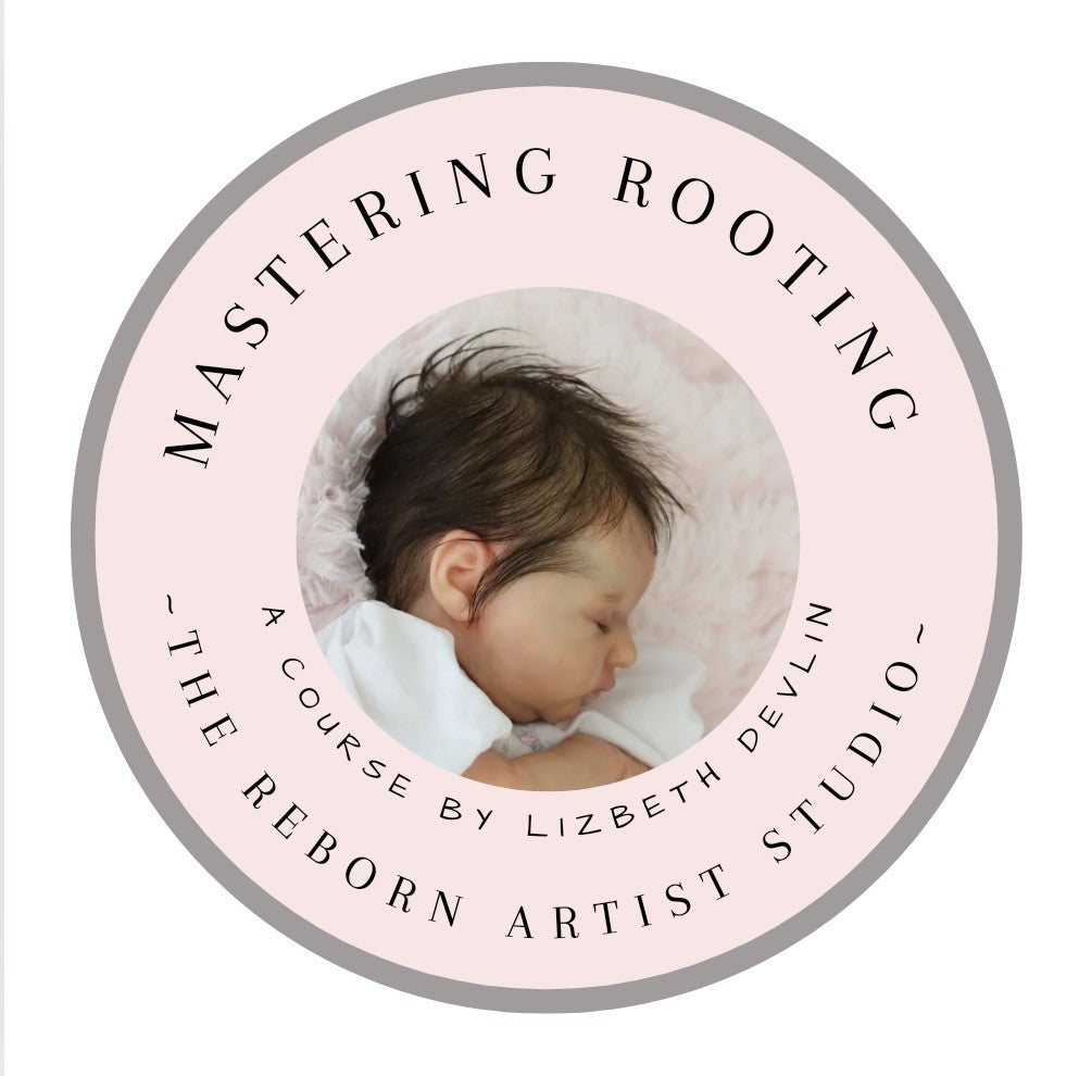 THE REBORN ARTIST STUDIO