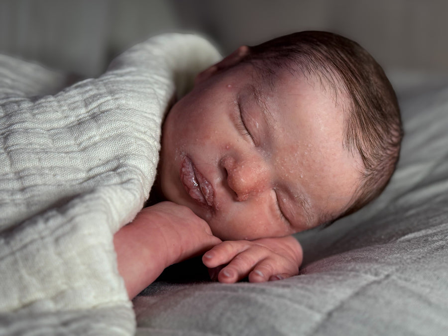 THE SILI CRADLE — photo 9