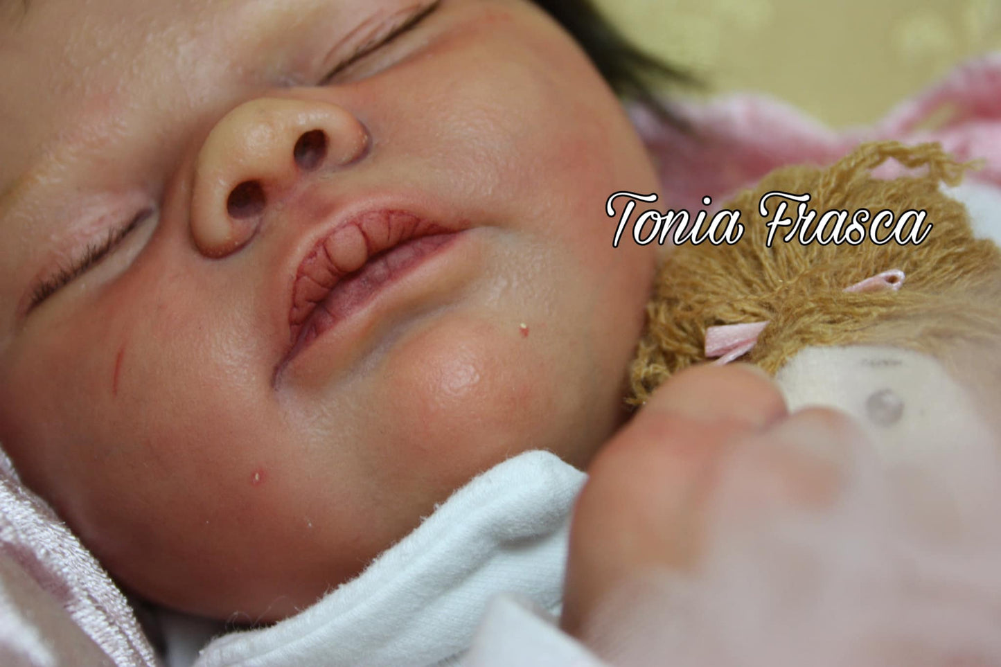 THE NURSERY OF HEAVEN