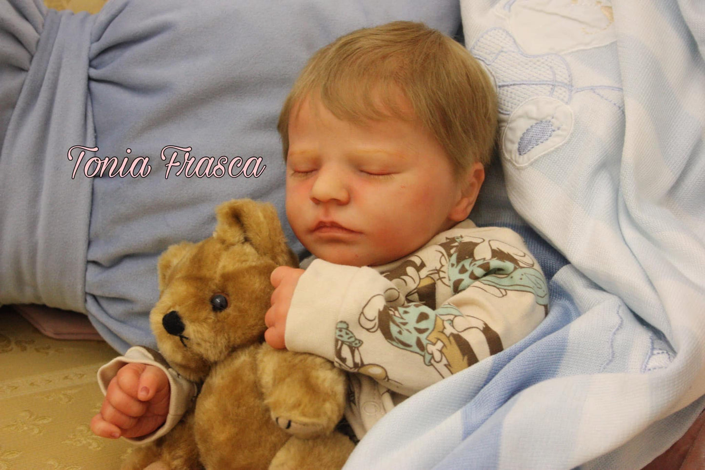 THE NURSERY OF HEAVEN