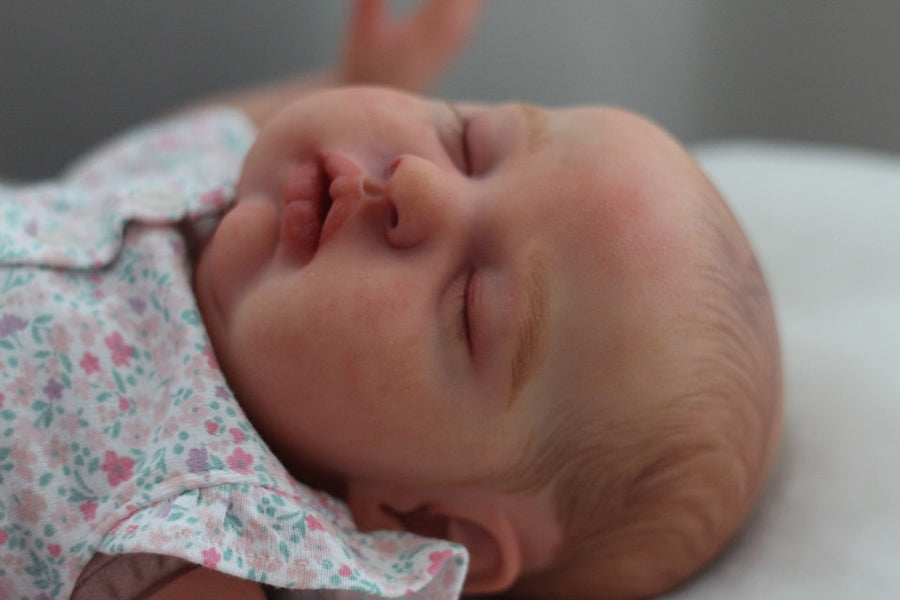 TIFFANY'S TREASURED NURSERY — photo 4