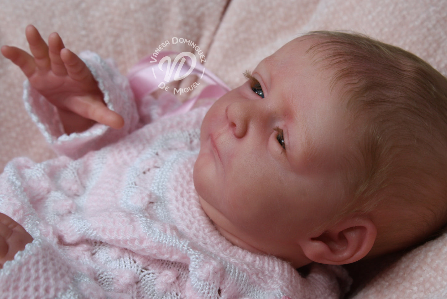 VANESA DOMINGUEZ DE MIGUEL