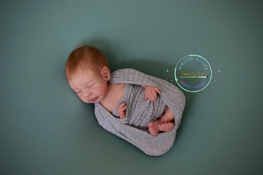 WILLOW BABIES REBORN NURSERY — photo 4