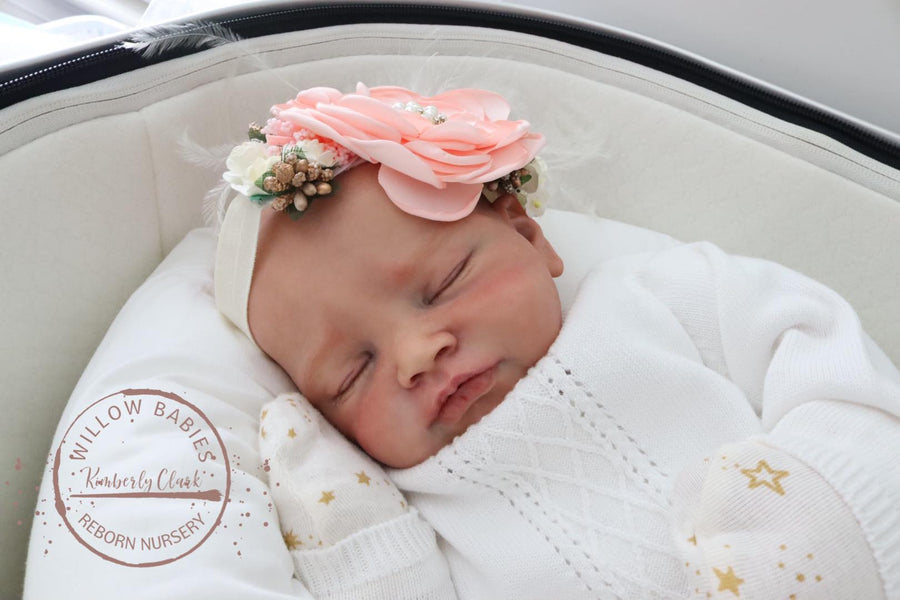 WILLOW BABIES REBORN NURSERY — photo 3