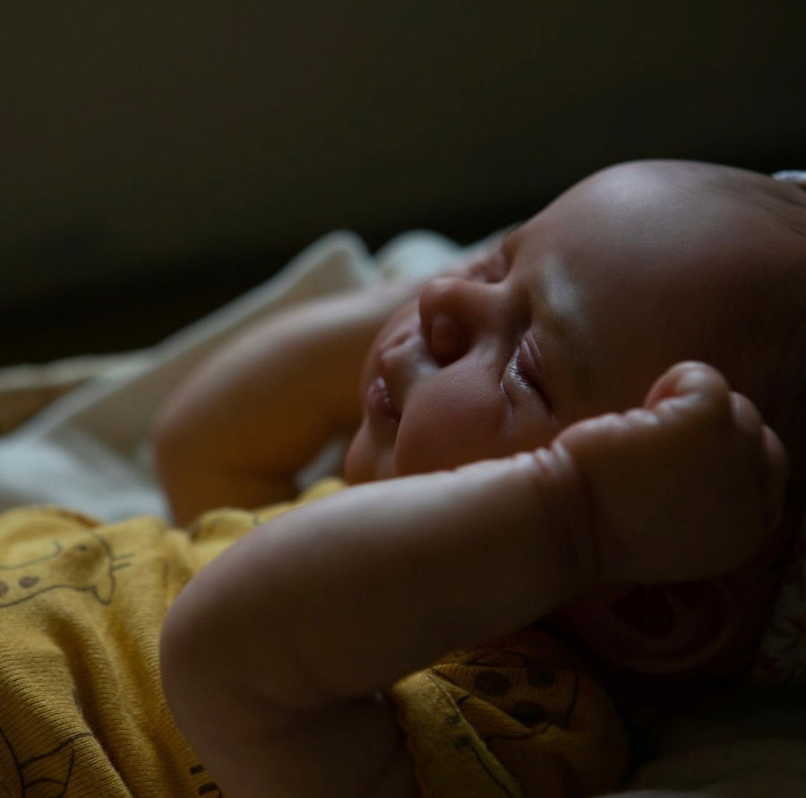 WOMB SERVICE REBORNS — photo 7