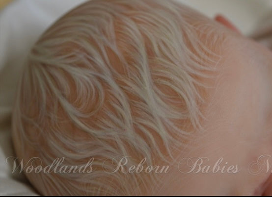 WOODLANDS REBORN BABIES NURSERY U.K. — photo 4