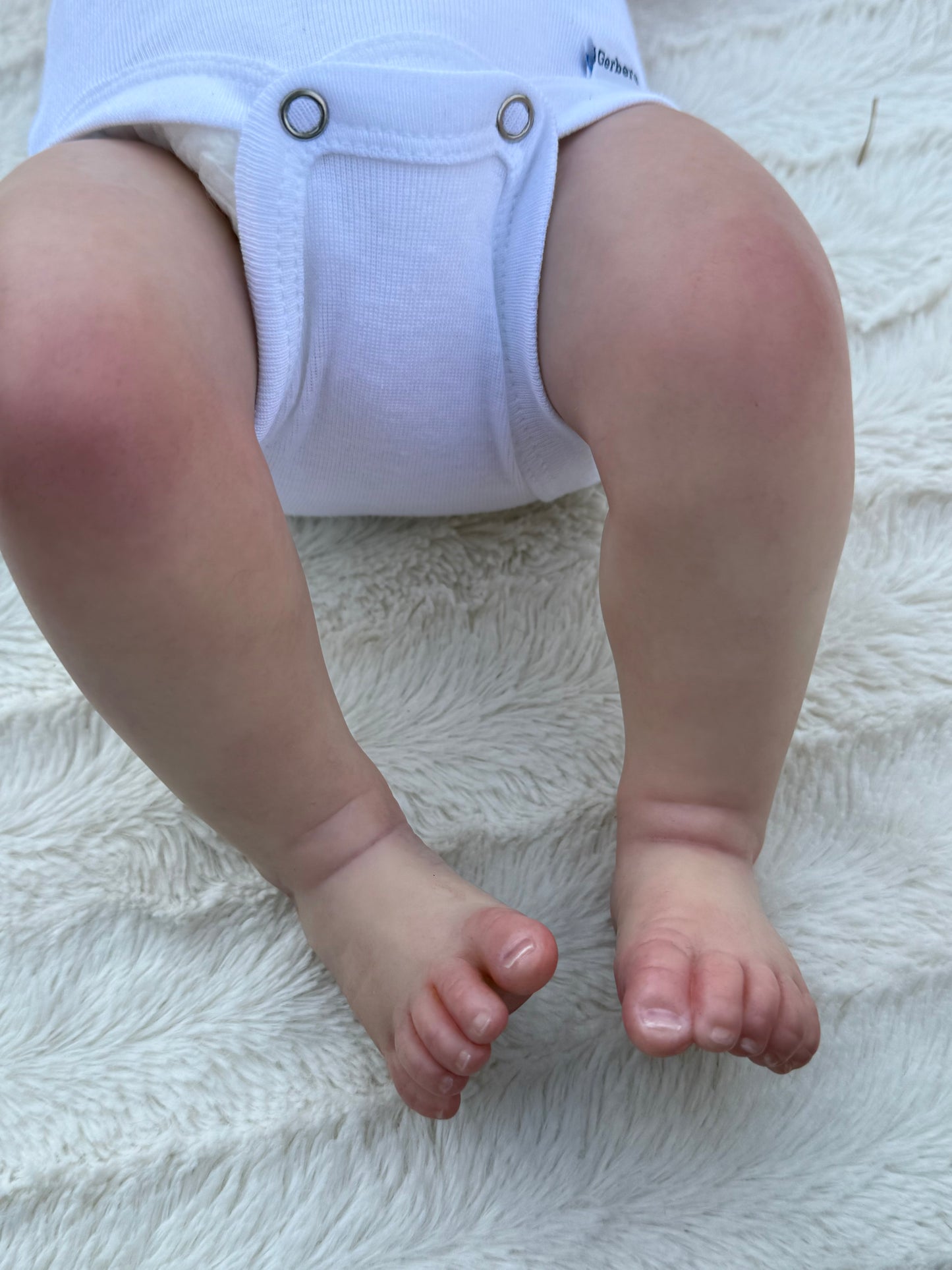 ASHLEY’S ADORABLE ADDITIONS