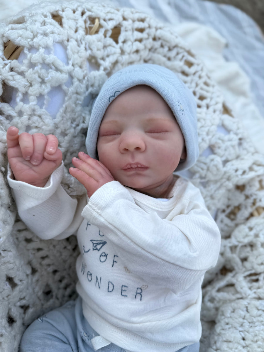 ASHLEY’S ADORABLE ADDITIONS — photo 7