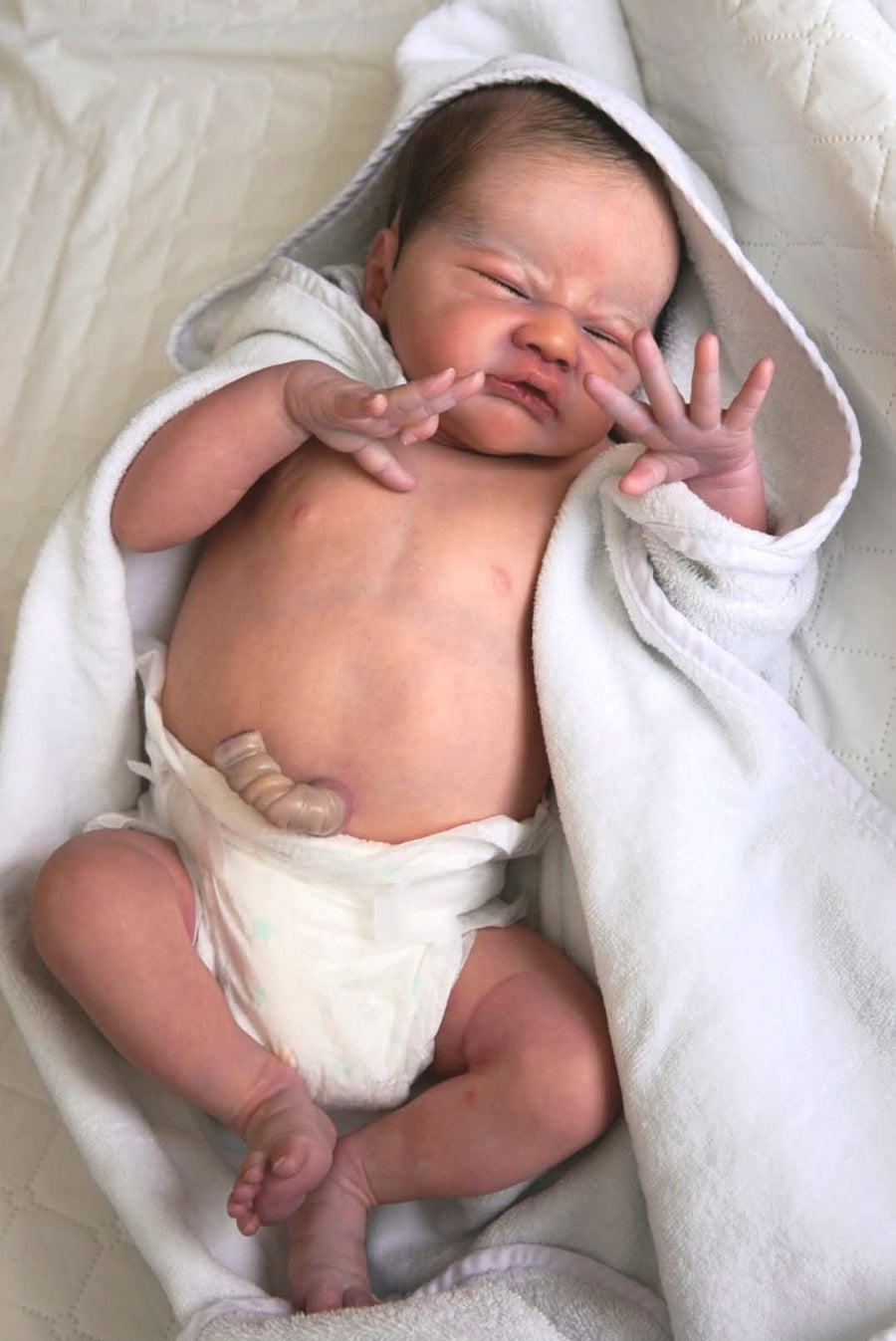 HEAVENS FINEST REBORN NURSERY — photo 7