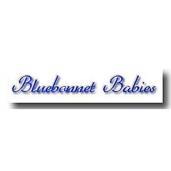 BLUEBONNET BABIES REBORN NURSERY