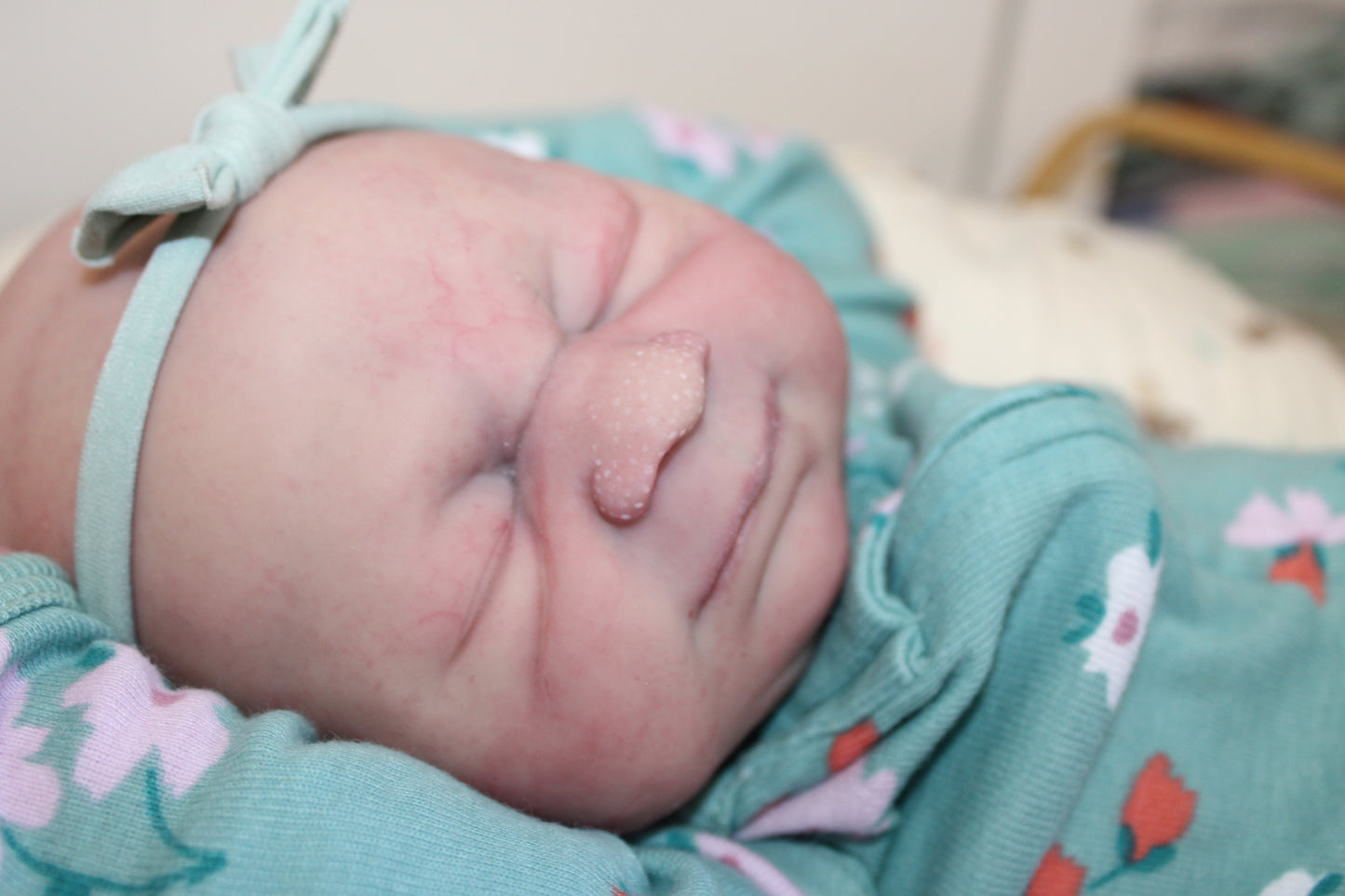 MOUNTAIN HOUSE NURSERY