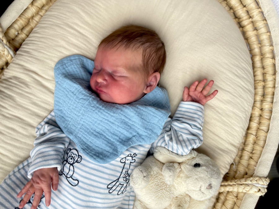 Czech reborn babies — photo 9