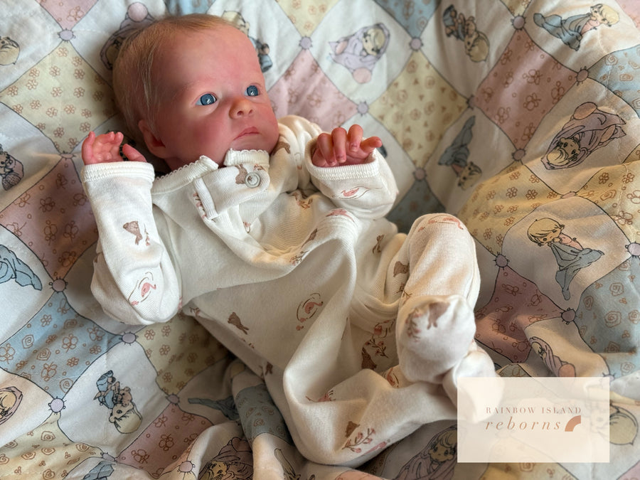 RAINBOW ISLAND REBORNS — photo 5