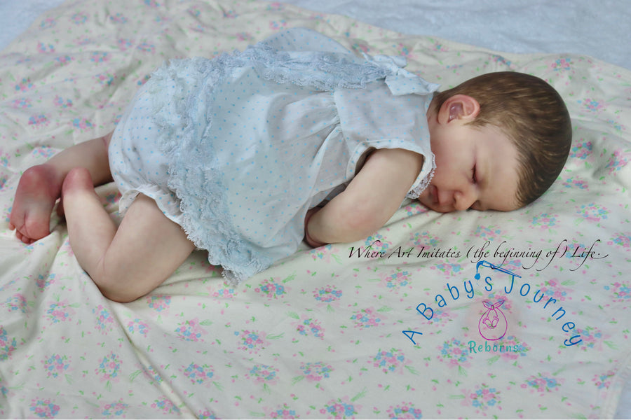 A BABY'S JOUNREY REBORNS — photo 5