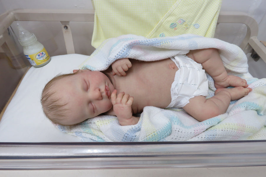 AJP DOLL STUDIO — photo 3