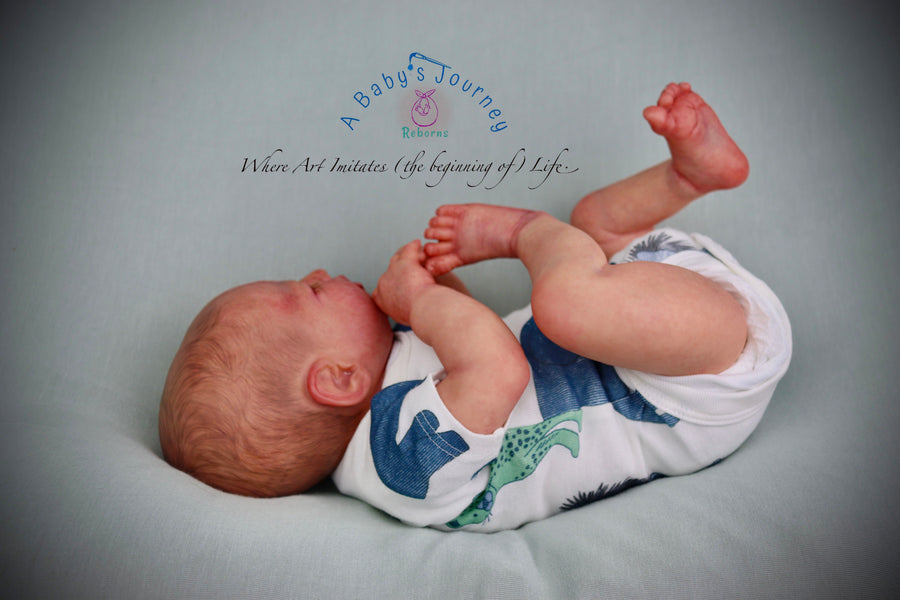 A BABY'S JOUNREY REBORNS — photo 7