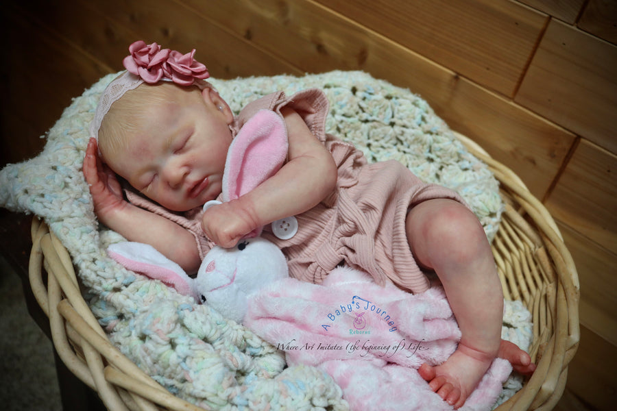 A BABY'S JOUNREY REBORNS — photo 4