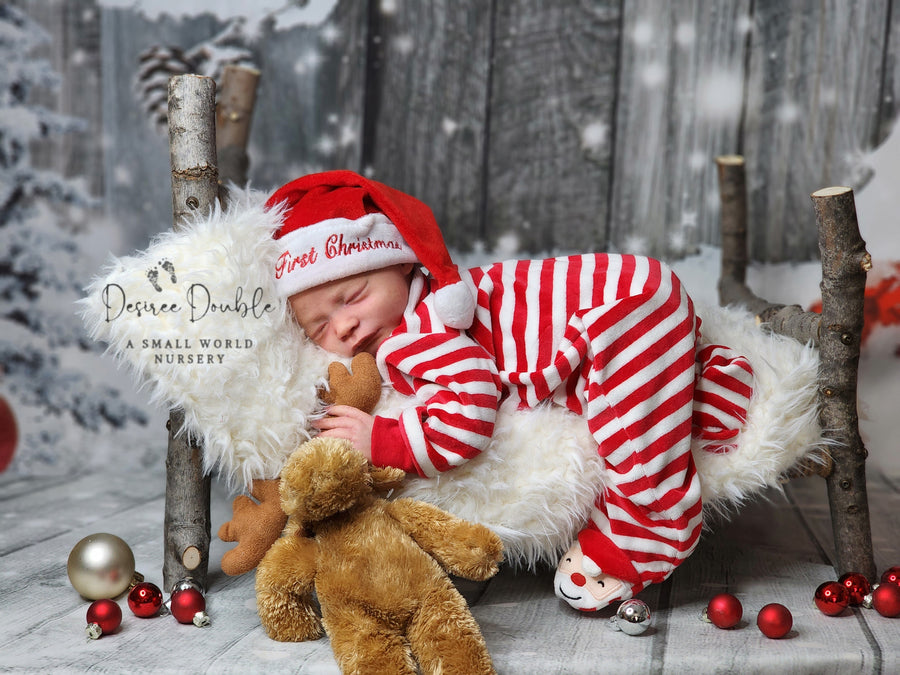 A SMALL WORLD NURSERY — photo 9