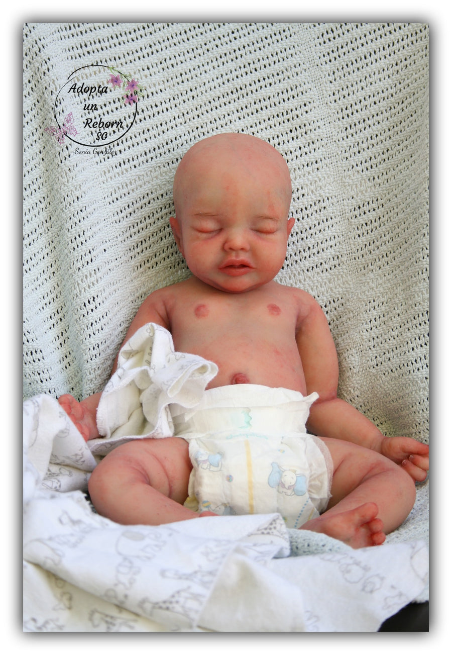 ADOPTA UN REBORN SG — photo 4