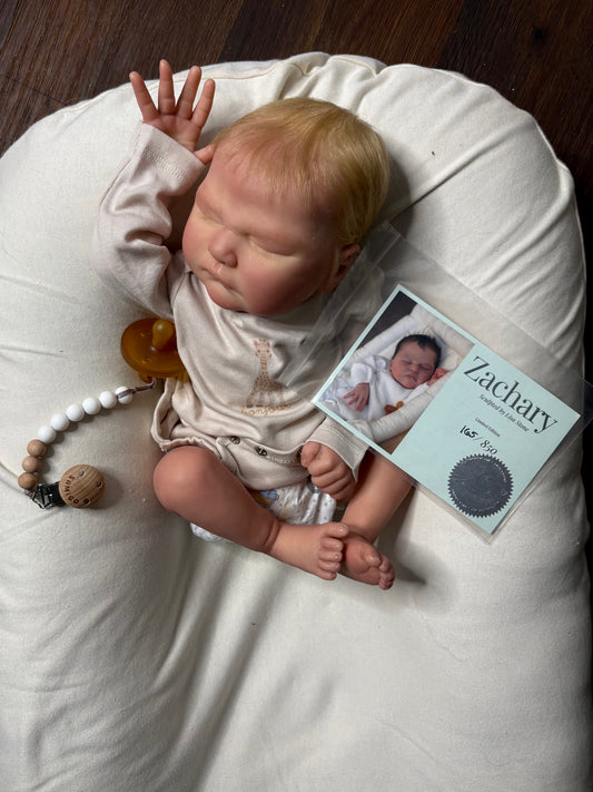 Another Reborn Family