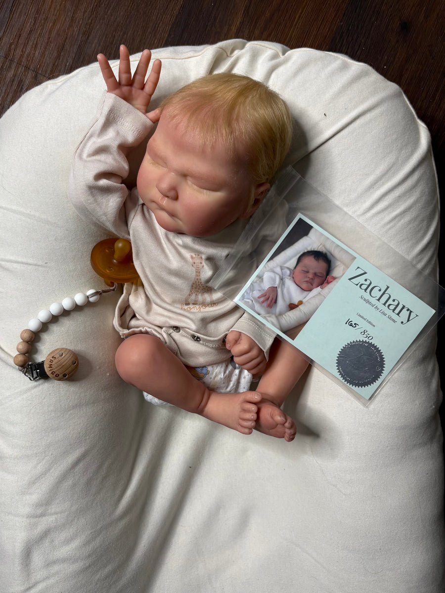 Another Reborn Family