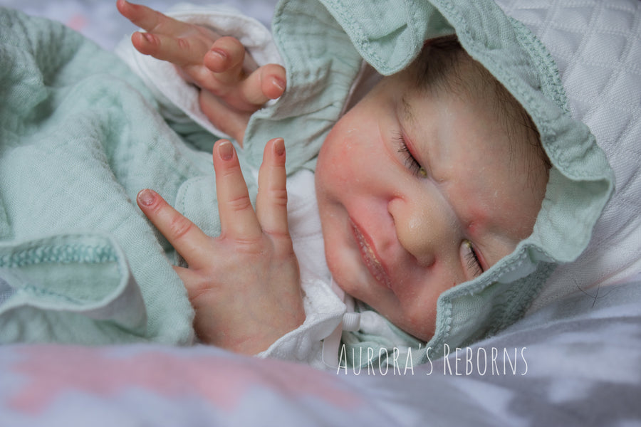 AURORA'S REBORNS — photo 6