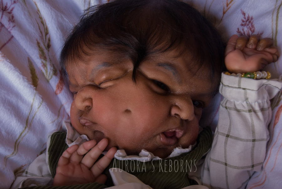 AURORA'S REBORNS — photo 5
