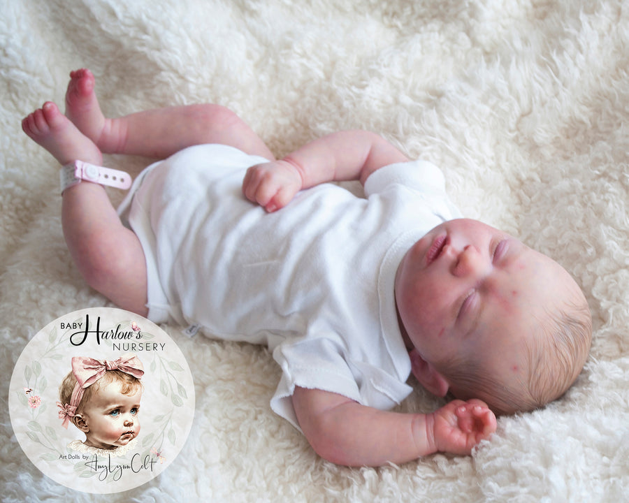BABY HARLOW'S NURSERY — photo 5