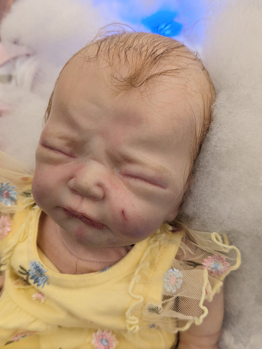 BABYBYE REBORN DOLLS — photo 5
