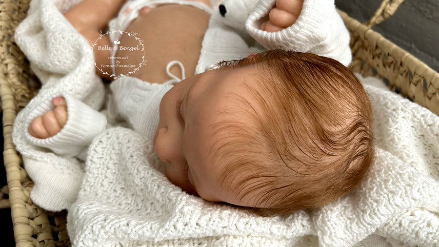 BELLE & BENGEL — photo 8
