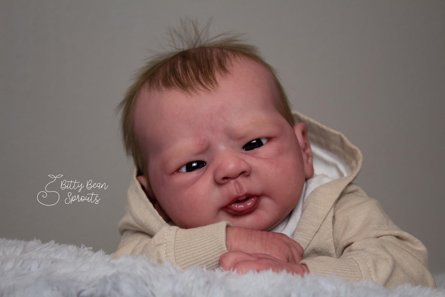 BITTY BEAN SPROUT — photo 7