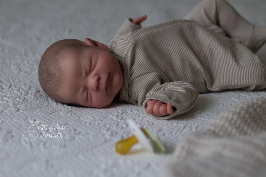 BITTY BEAN SPROUT — photo 3