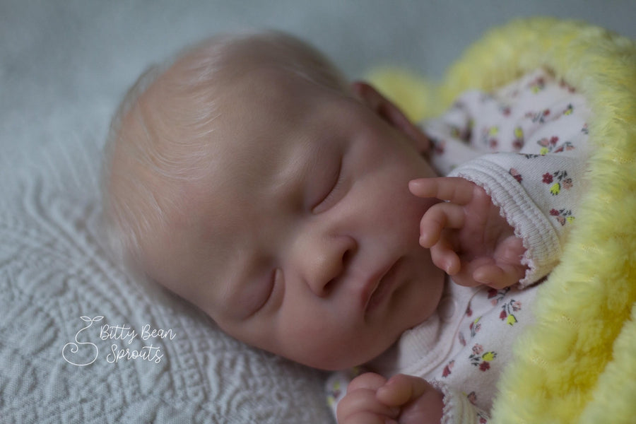 BITTY BEAN SPROUT — photo 4