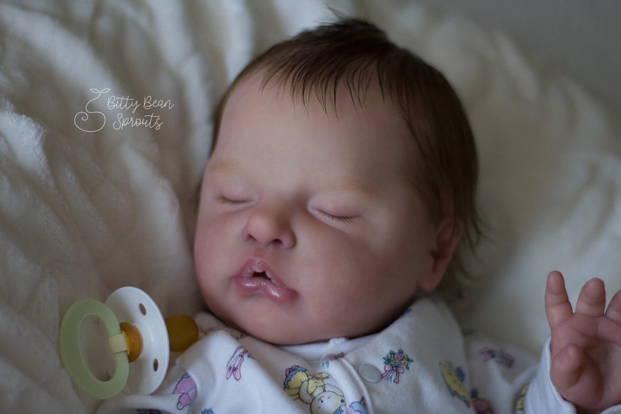 BITTY BEAN SPROUT — photo 6