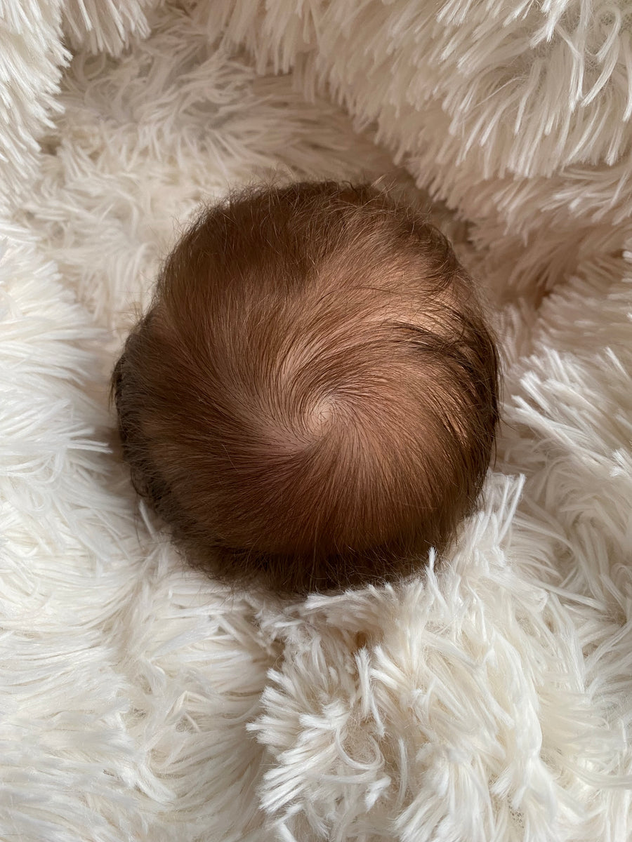 Blueberry Babies — photo 10