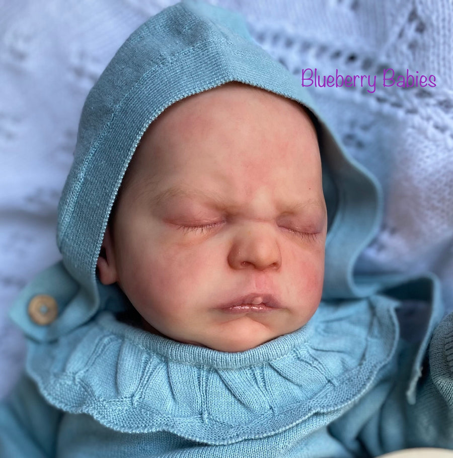 Blueberry Babies — photo 4