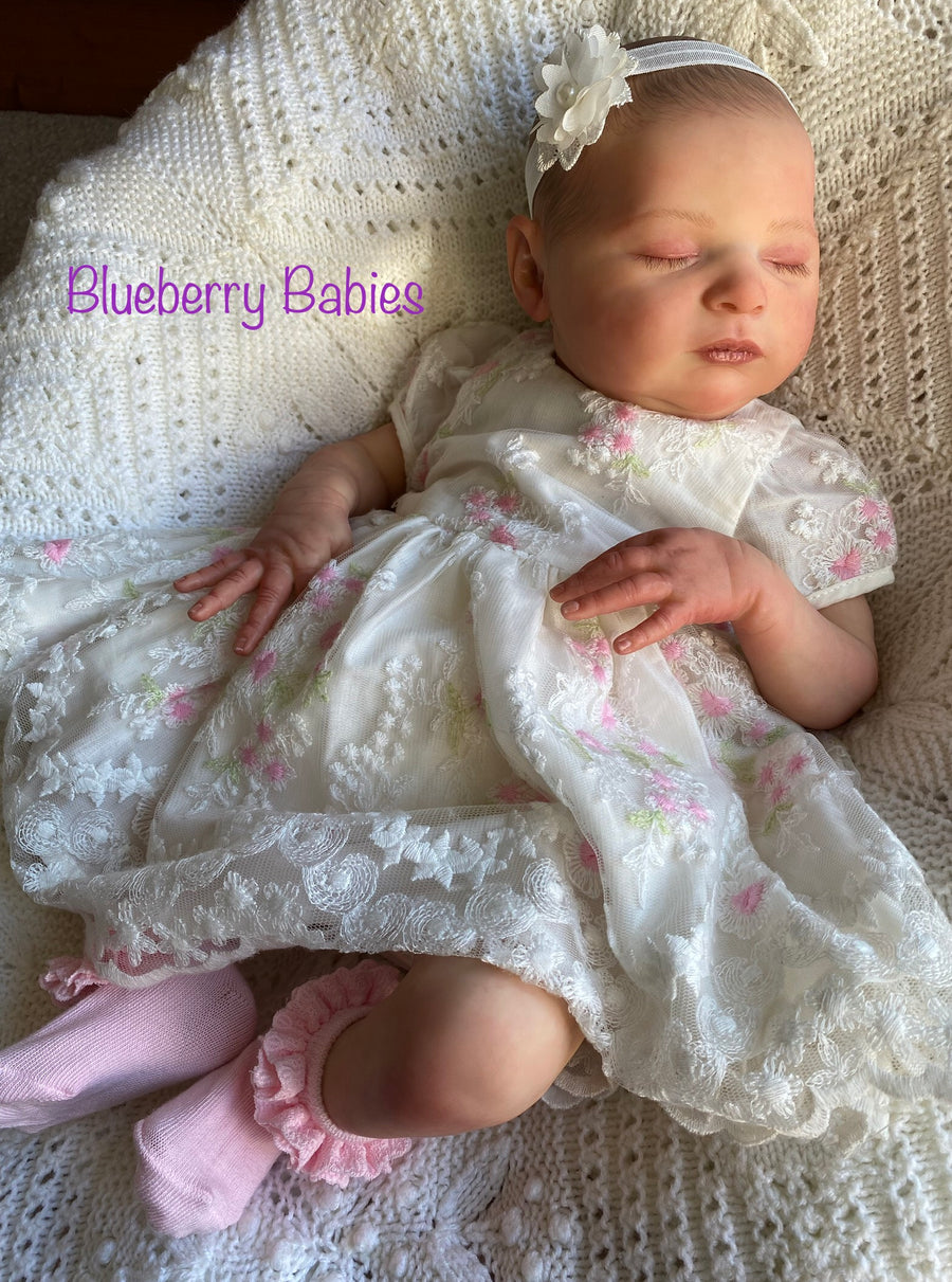Blueberry Babies — photo 5