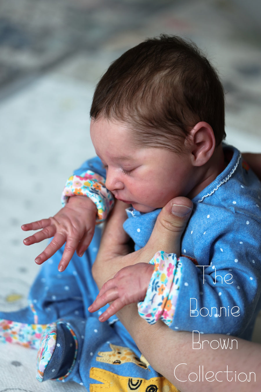 THE BONNIE BROWN COLLECTION — photo 4