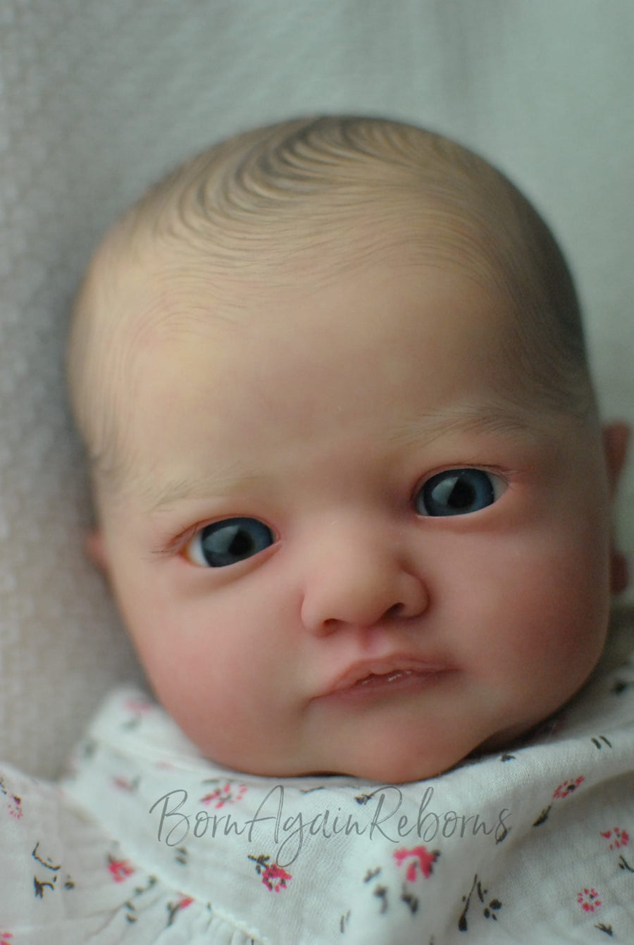 BORN AGAIN REBORNS — photo 6
