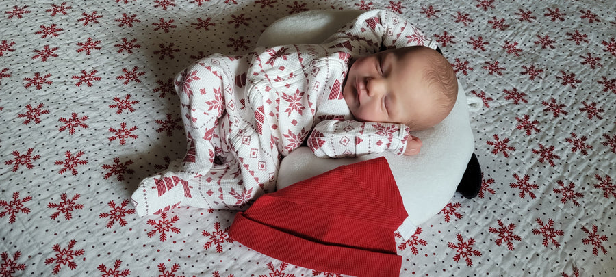 BRE'SREBORNS — photo 7