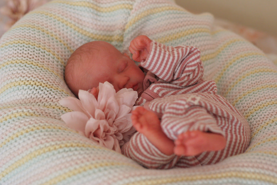 CARLY'S CRADLE — photo 6