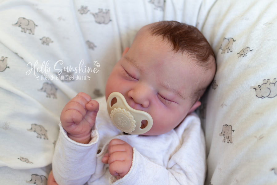 HELLO SUNSHINE REBORNS — photo 7