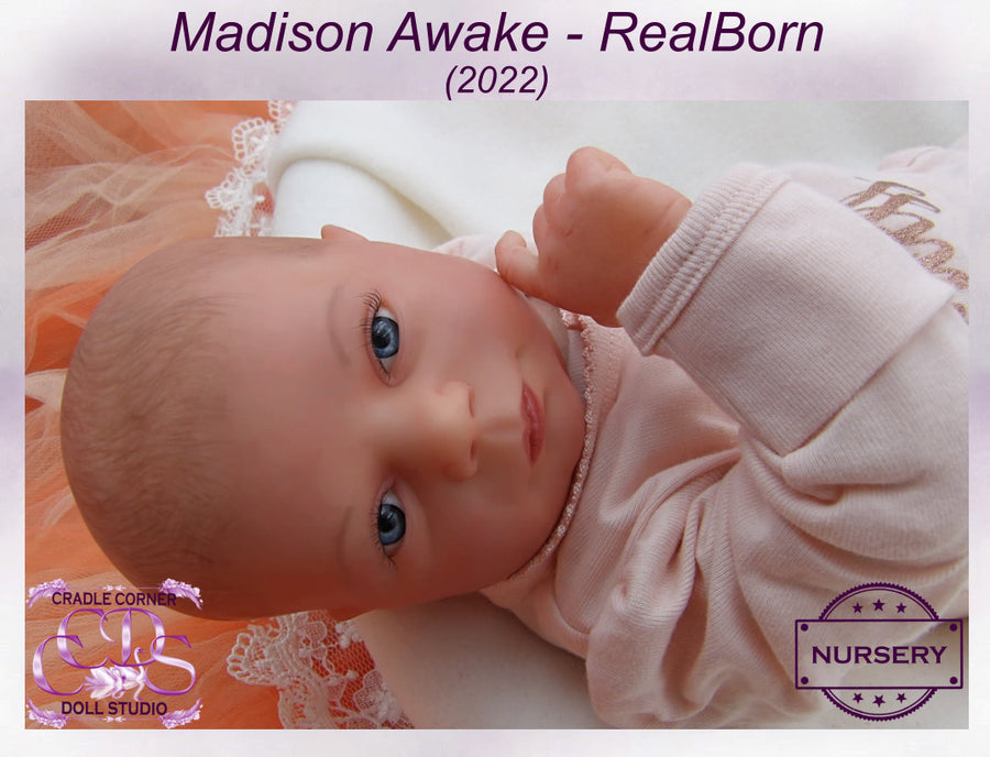 Cradle Corner Doll Studio — photo 5
