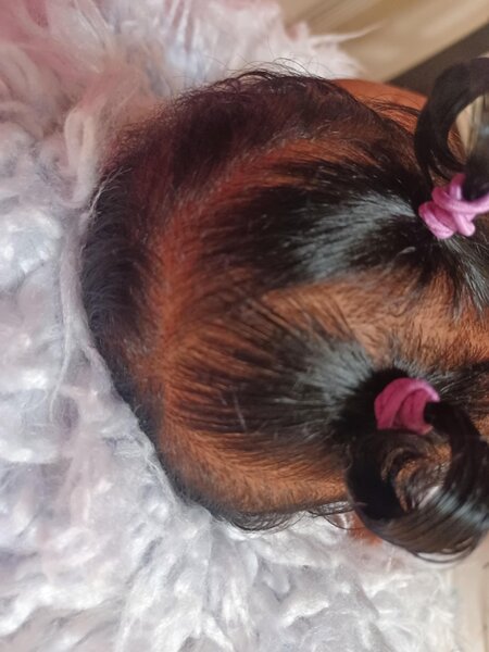CUDDLEBUG REBORN NURSERY — photo 11