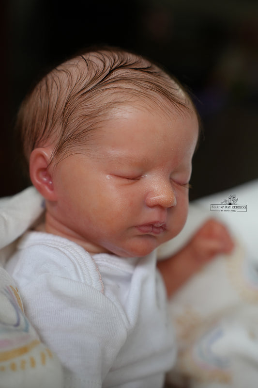 ELLIE & DAY REBORNS