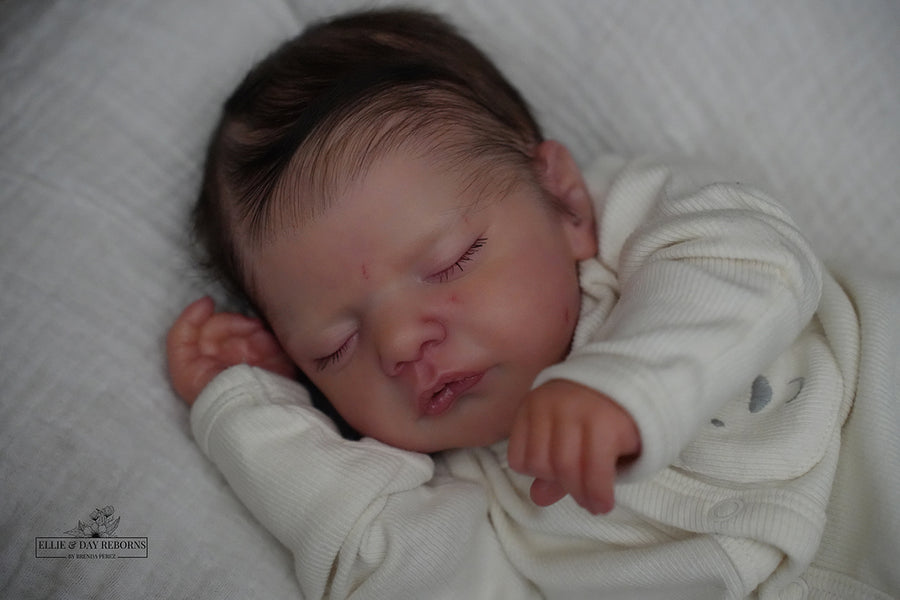 ELLIE & DAY REBORNS — photo 8